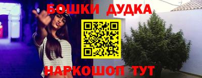 spice Бузулук