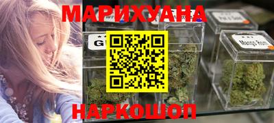гашик Будённовск