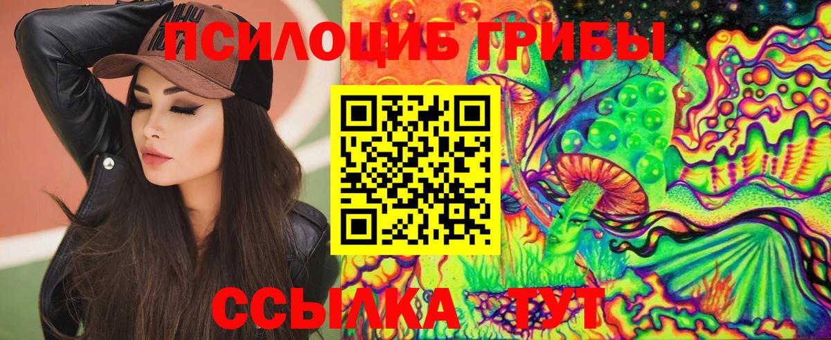 Псилоцибиновые грибы Psilocybine cubensis Сызрань